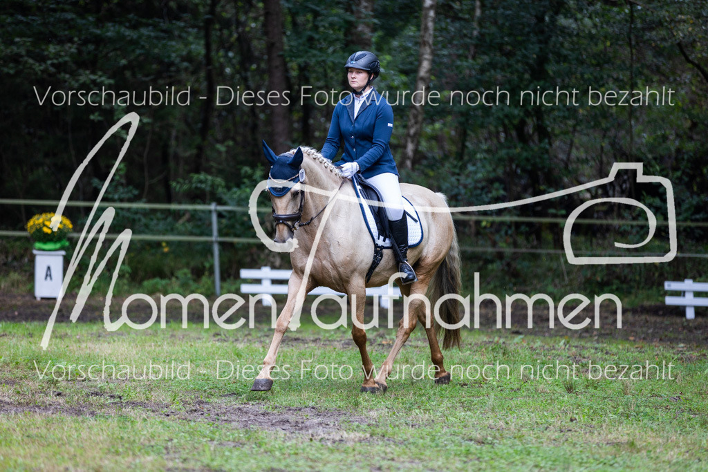 HB-A-Dressur-066 | MomenTaufnahmen Pferdesportfotos