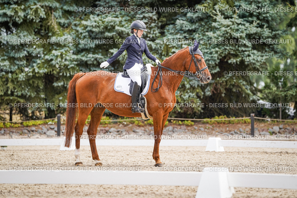 DSC03089 | Pferdegrafie