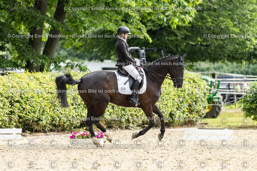 CL5A5663 | Emilia Reinking Fotografie - Realisiert mit Pictrs.com