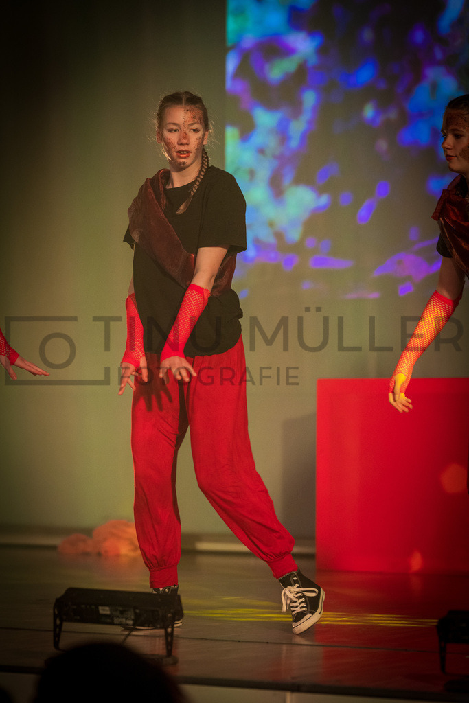 _DSC2515 | Tinu Müller Fotografie- Bildershop - Realisiert mit Pictrs.com