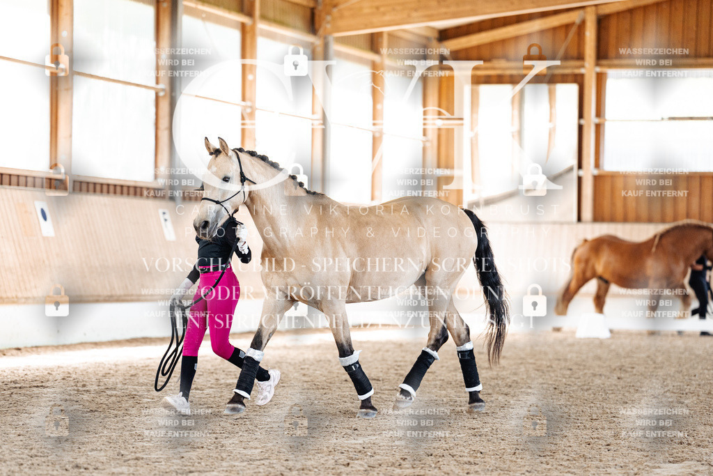 CK907165 | Turnierfotografie Pferdefotografie Trier Rheinland-Pfalz Pferdesport Reitsport Tierfotografie Sportfotografie Pferdevideo Pferdevideografie Equestrianvideography equestrianphotography  - Realisiert mit Pictrs.com