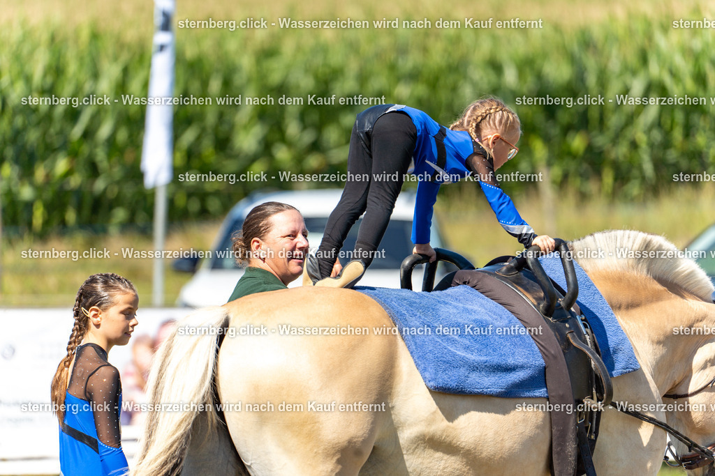 2026-08-08_10-10-56_WBO_Pulsnitz | sternberg.click - Realisiert mit Pictrs.com