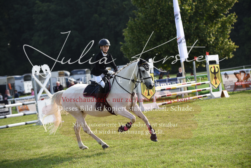 DSC_8647 | Pferde- und Turnierfotografie in Westsachsen. Pferdeportraits, Auftragszeichnungen und intuitive Kunst.