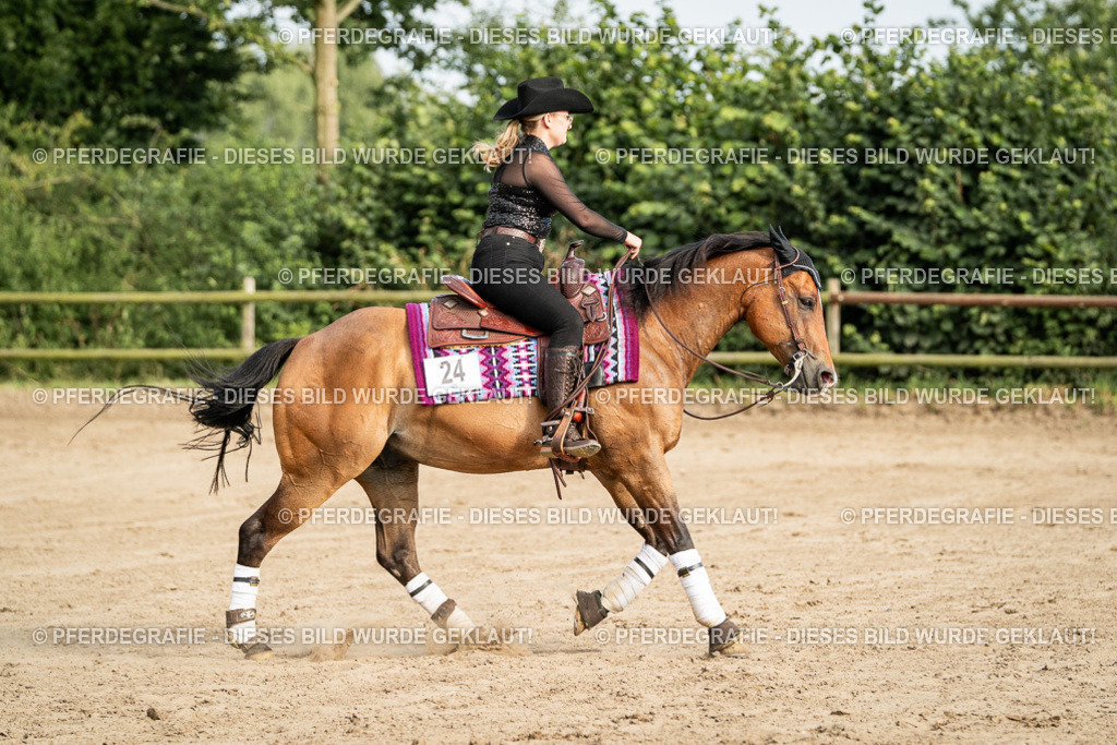 DSC05395 | Pferdegrafie