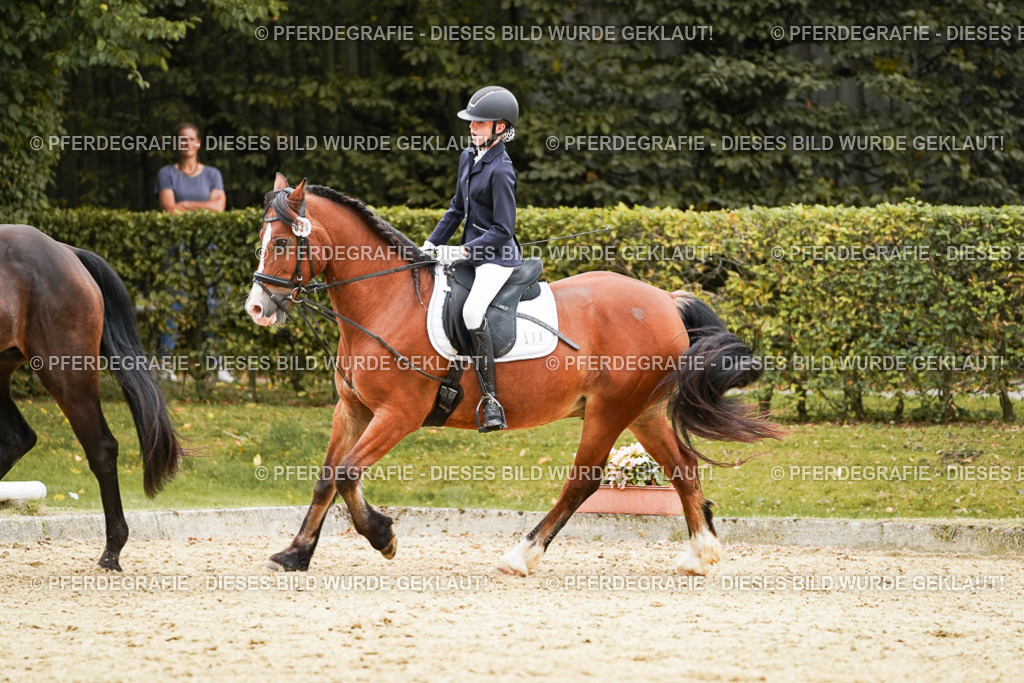 DSC00083 | Pferdegrafie