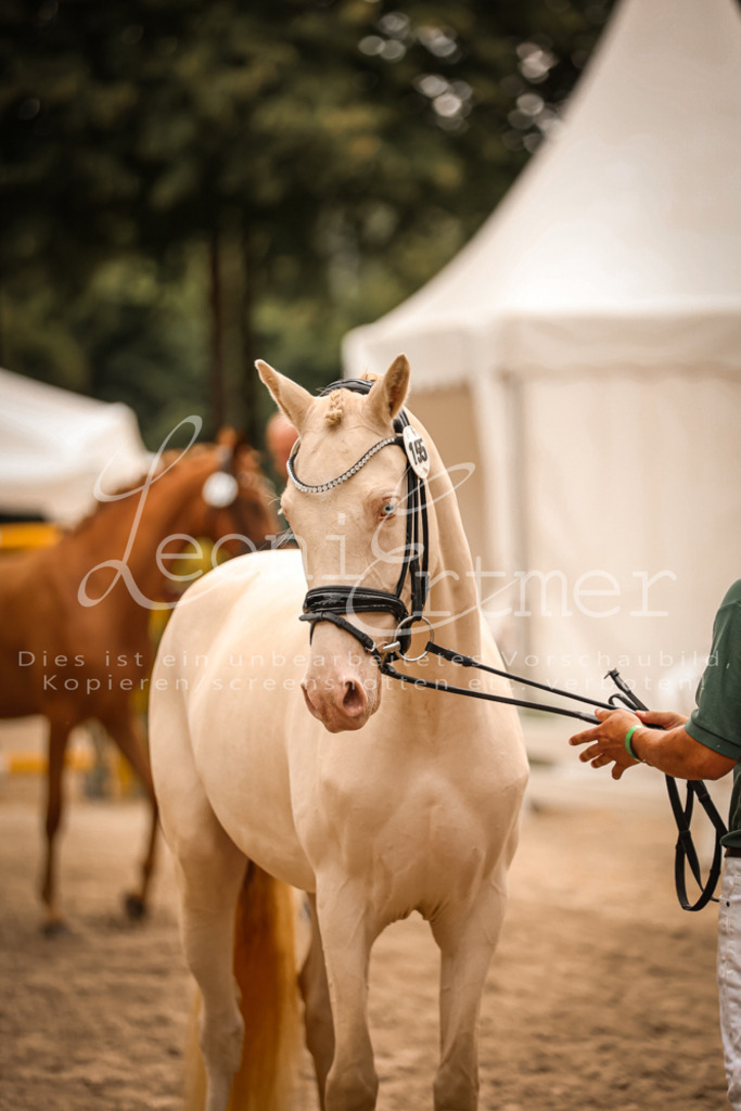 10.So00125 | Leoni Ertmer Photography - Realisiert mit Pictrs.com