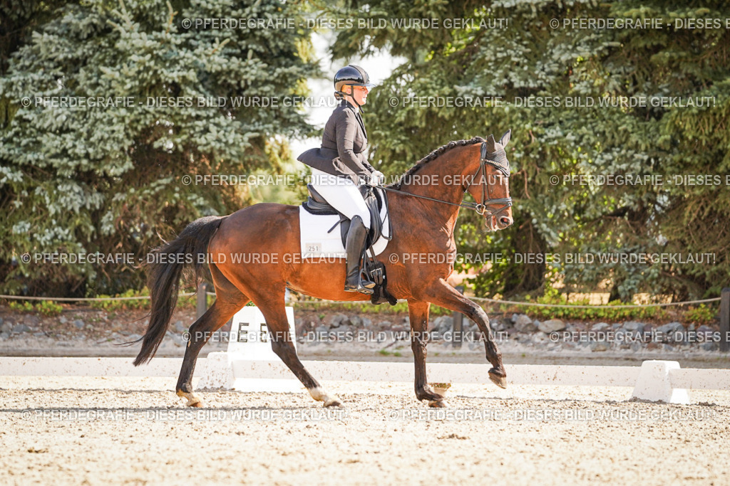 DSC00598 | Pferdegrafie