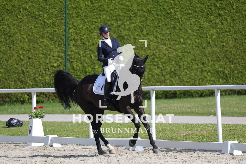 0P6A3127 | Willkommen bei Brunnmayr - Design & Fotografie – Ihrem Spezialisten für Reitturniere und Pferdeveranstaltungen in Oberösterreich, Salzburg und Bayern! Seit über 17 Jahren sind wir leidenschaftlich dabei.