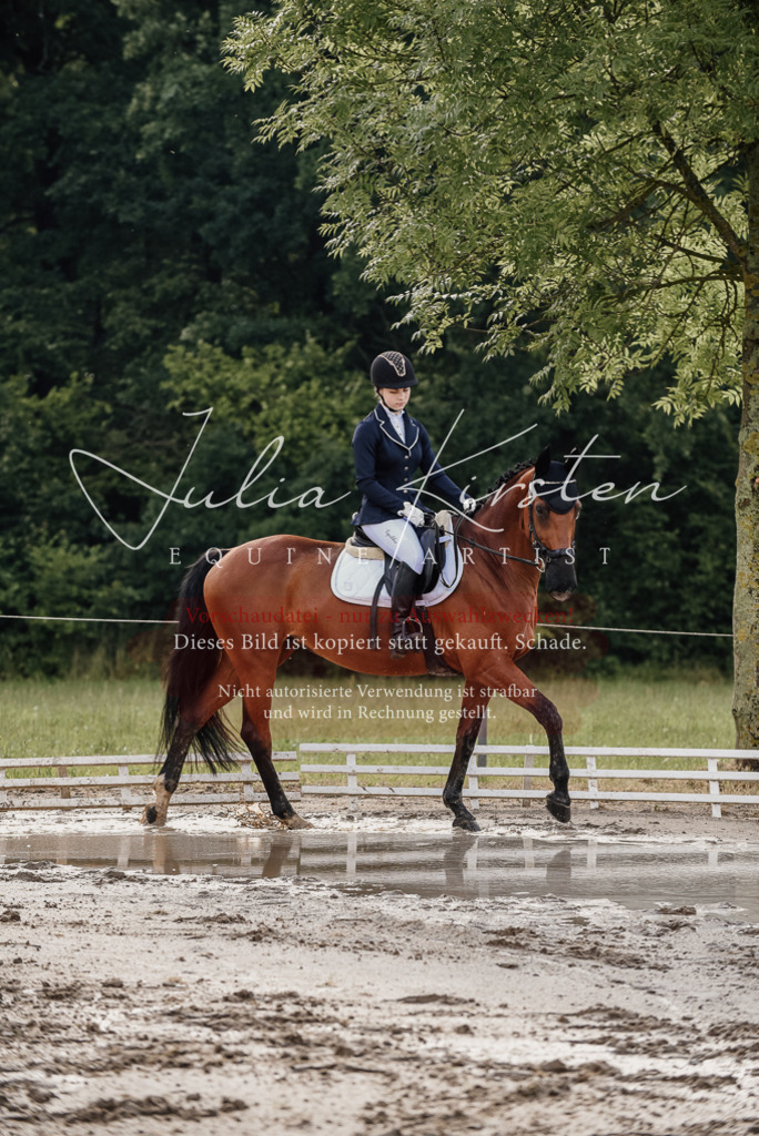 DSC_8419 | Pferde- und Turnierfotografie in Westsachsen. Pferdeportraits, Auftragszeichnungen und intuitive Kunst.