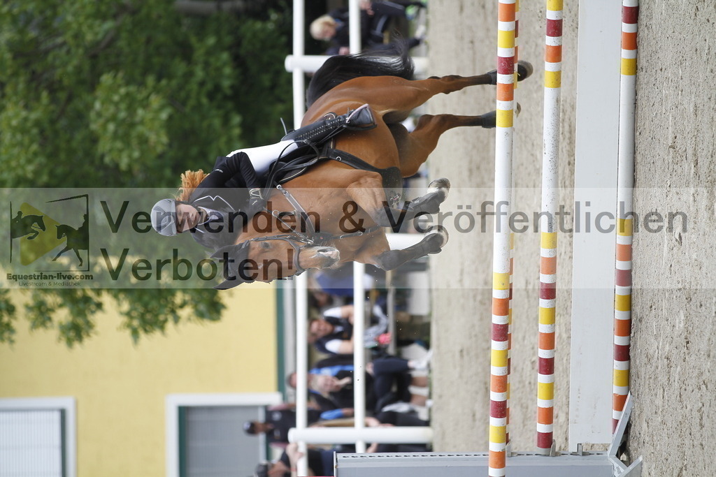 _MG_1366 | equestrian-live-com