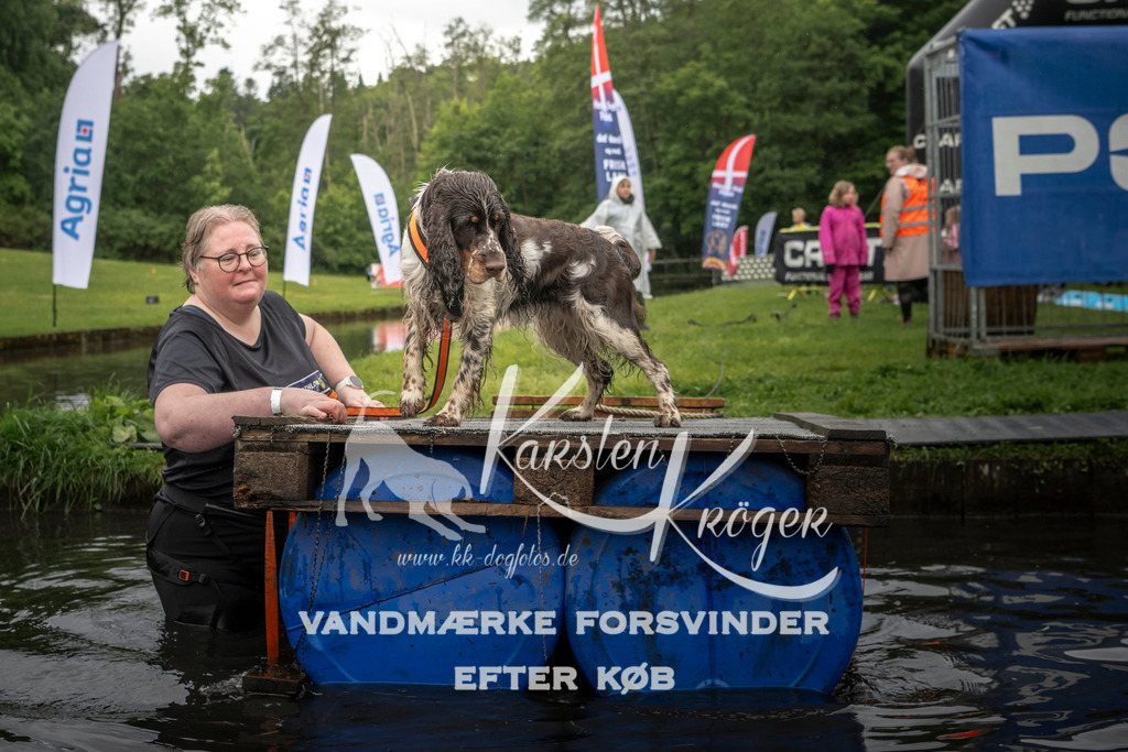 1623_ZZ97364-2 | kk-dogfotos