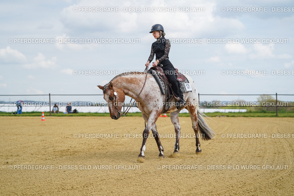 DSC05642 | Pferdegrafie