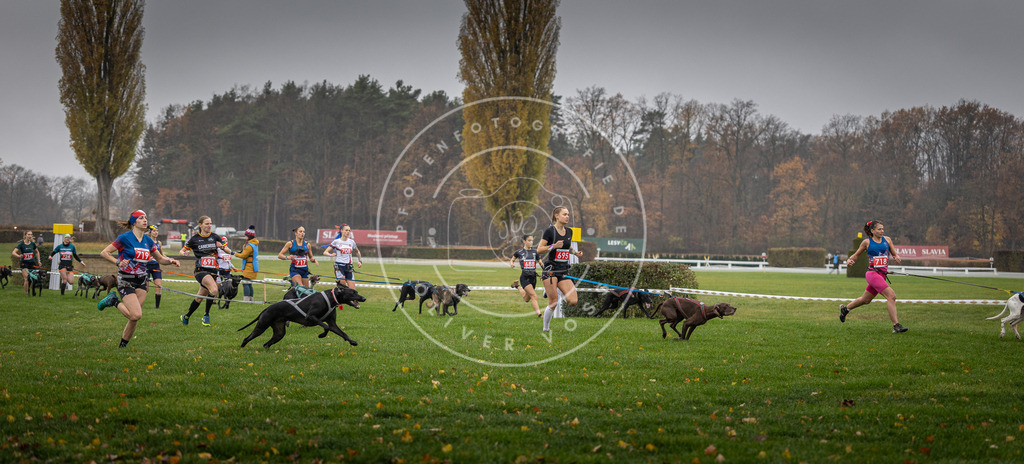 CaniXpix_DV3A8753 | Hundefotografie, Tierfotograf, Pfotenfotografie, Fotoshooting Hund, Hunde Portrait, Hundesport, Hundeportraits, Heideshooting, Hunde, Sportfotograf, Hundefotograf, Turnierhundsport, THS,  - Realisiert mit Pictrs.com