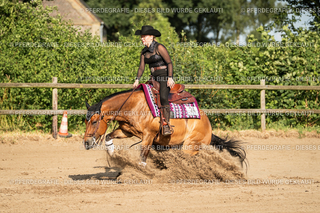 DSC05426 | Pferdegrafie