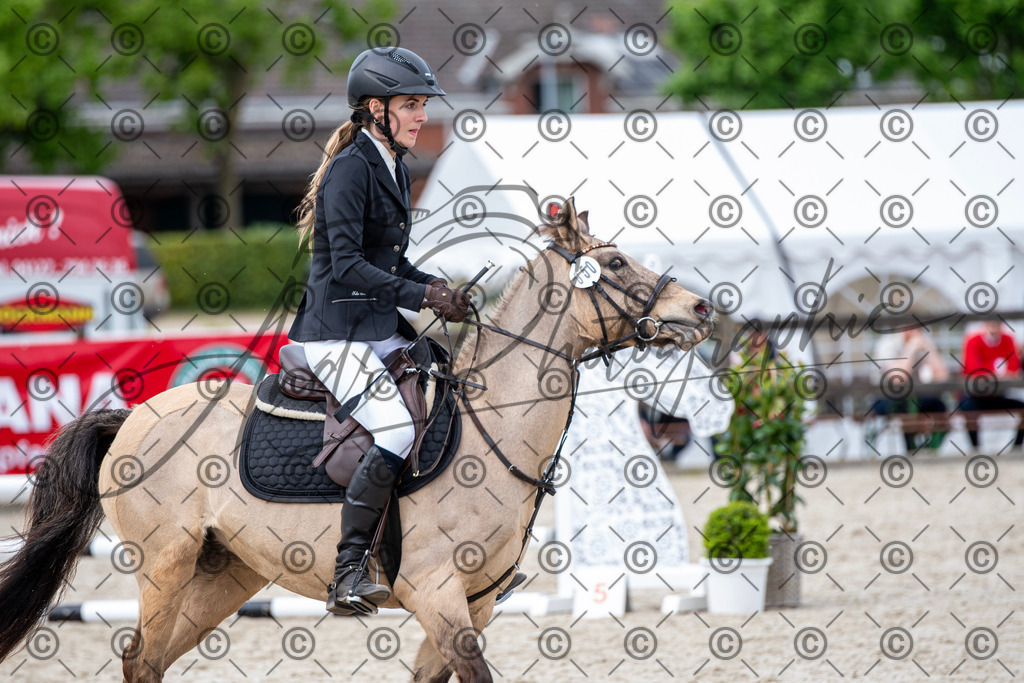 KPT_6264 | andre_photographic