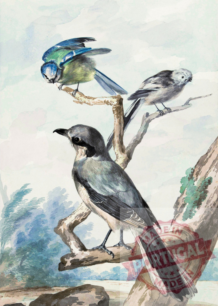 Lesser grey shrike, eurasian blue tit and long-tailed tit perching on tree branch | Watercolor painting of birds perched on a branch, showcasing the beauty of nature with vibrant colors and intricate details - Realisiert mit Pictrs.com