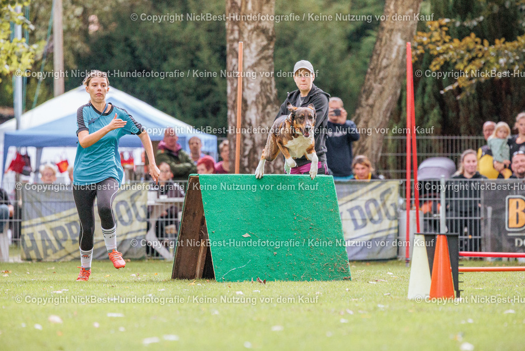 THS-HSV-Blumenthal-2026-Nickbest-Hundefotografie-0347 | Dein Hund! Dein Moment! Deine Erinnerungen! Hundefotografie in Bremen Blumenthal. Ich fange die besonderen Momente deines Vierbeiners ein – ob Indoor mit Blitzanlage oder in der freien Natur. Sicher dir dein Moment und dein Termin für eure Erinnerungen.