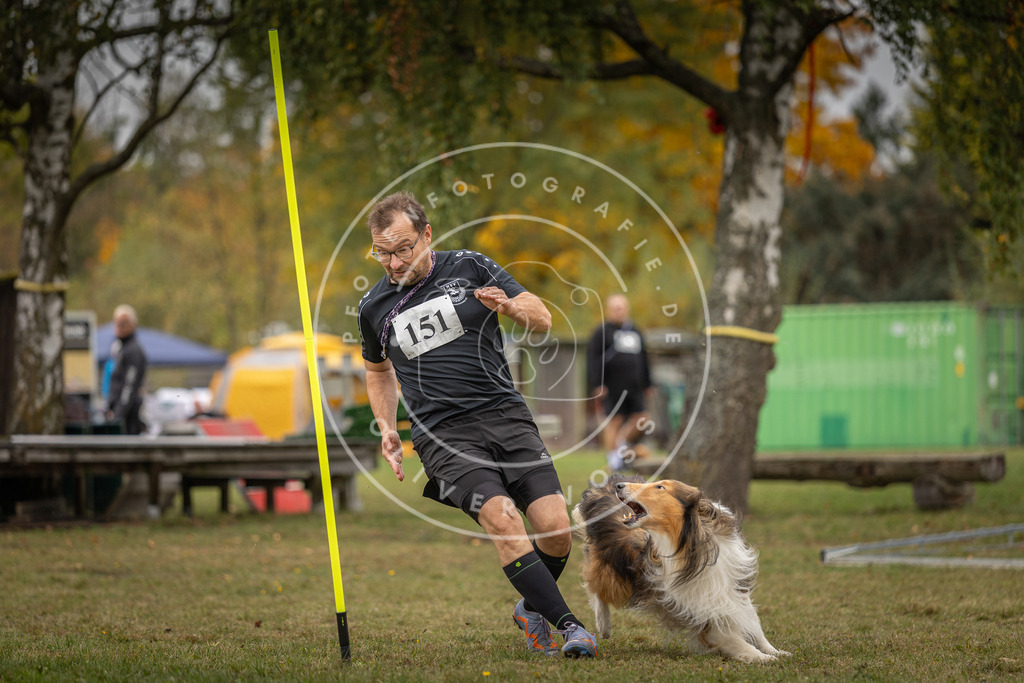 Pfotenfotografie_DV3A6132 | Hundefotografie, Tierfotograf, Pfotenfotografie, Fotoshooting Hund, Hunde Portrait, Hundesport, Hundeportraits, Heideshooting, Hunde, Sportfotograf, Hundefotograf, Turnierhundsport, THS,  - Realisiert mit Pictrs.com
