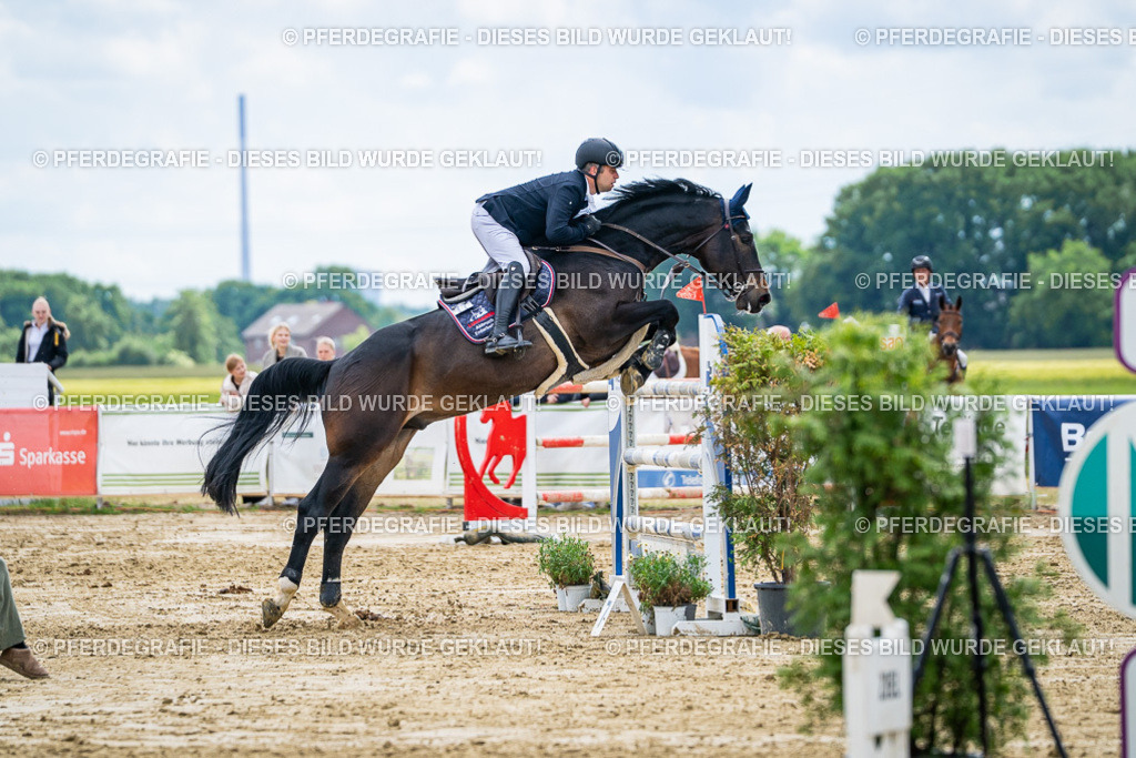 DSC06214 | Pferdegrafie