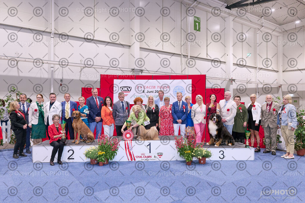 202406_ÖKV-IHA-Tulln24_NZ9_8837 | proPHOTO - Realisiert mit Pictrs.com