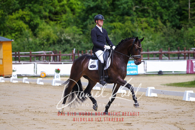 DKP45910 | Turniersportfotografie; Pferdefotografie; Dressurfotografie