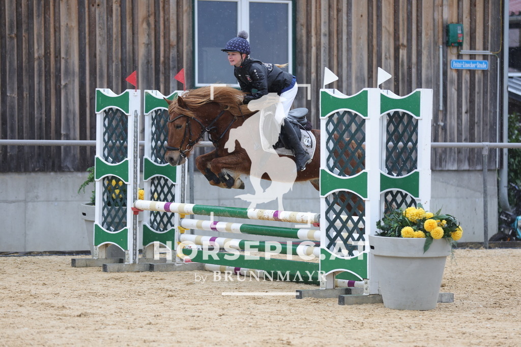 0P6A7280 | Willkommen bei Brunnmayr - Design & Fotografie – Ihrem Spezialisten für Reitturniere und Pferdeveranstaltungen in Oberösterreich, Salzburg und Bayern! Seit über 17 Jahren sind wir leidenschaftlich dabei.