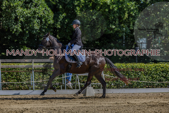 15.8.25 -3- DRE A-50 | mandyhollmannphotographie