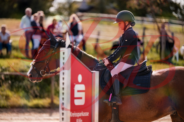 2026_10_03_Siefer-Hof_143658_Z81_05672644 | Professionelle Reitsport-, Turnier- und Eventfotografie von Robert Broda. Galerien mit ausgewählten und bearbeiteten Bildern direkt online ansehen und bestellen.