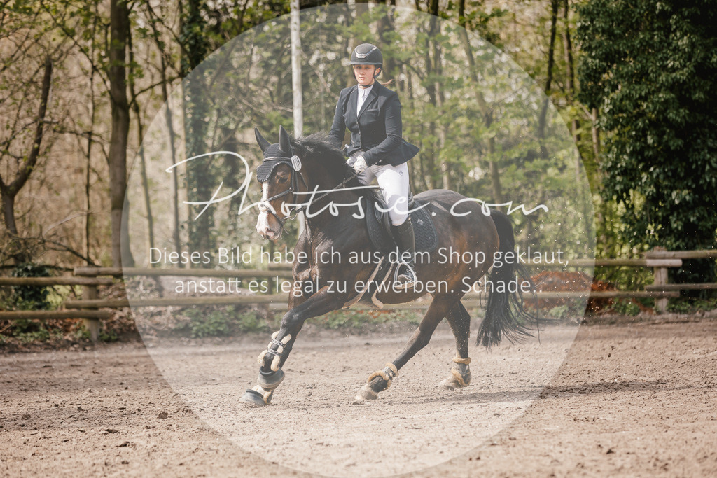 3I6A4367 | Stimmungsvolle Portraits und Reitsportfotografie im Ruhrgebiet und im Münsterland.

Pferdefotografie, Hundefotografie, Tierfotografie, Reportagen, Portraits von Tier und Mensch, Turnierfotografie in Bochum, Recklinghausen, Marl, Haltern am See, Dülmen.. - Realisiert mit Pictrs.com
