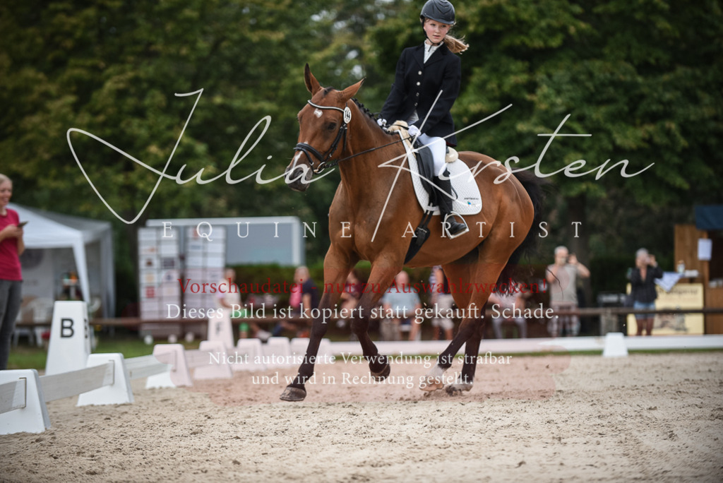 DSC_8032 | Pferde- und Turnierfotografie in Westsachsen. Pferdeportraits, Auftragszeichnungen und intuitive Kunst.