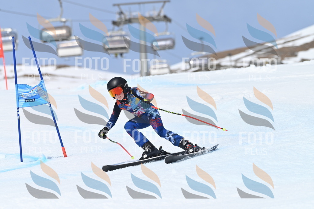 BGV_3860 | holidayphoto