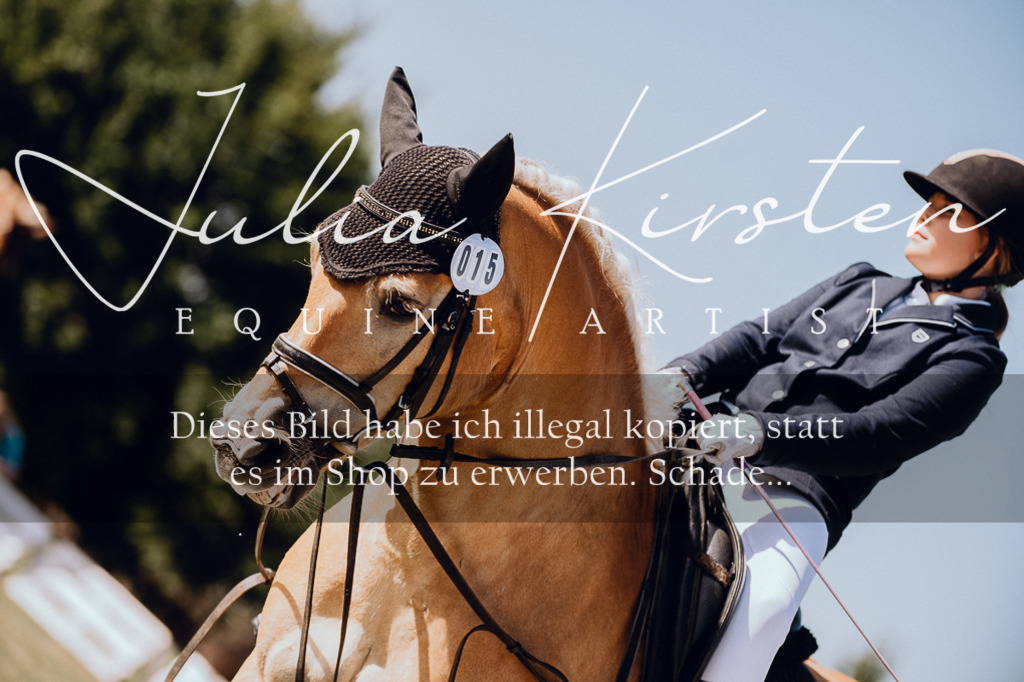 DSC_6965 | Pferde- und Turnierfotografie in Westsachsen. Pferdeportraits, Auftragszeichnungen und intuitive Kunst.