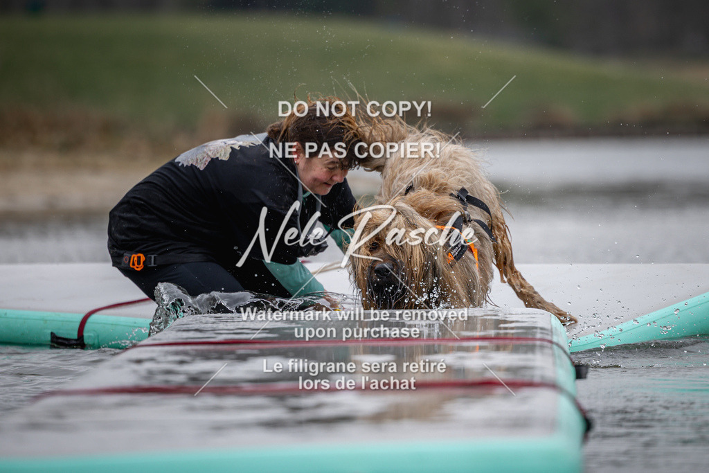 nelerasche_Hulsbeek_Sa1230-1330_510 | nelerasche