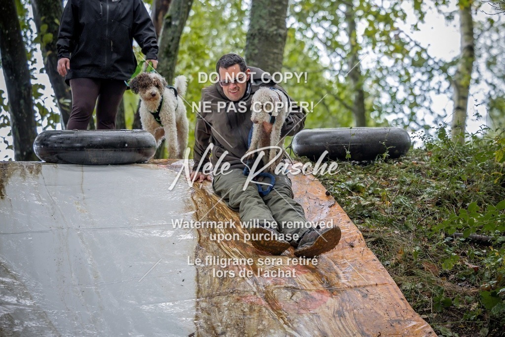 nelerasche_Hunsrück_Sa1430-1500_57-final | nelerasche