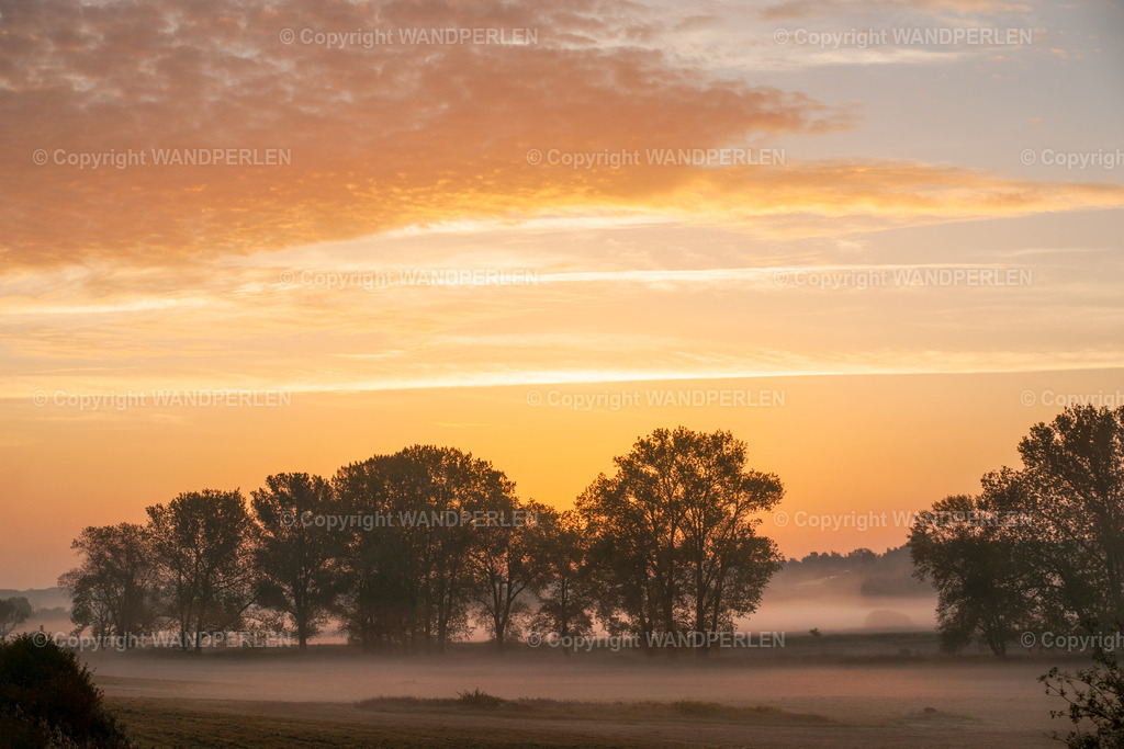 Auenlandschaft | Flussaue bei Sonnenaufgang im Bodennebel - Realisiert mit Pictrs.com