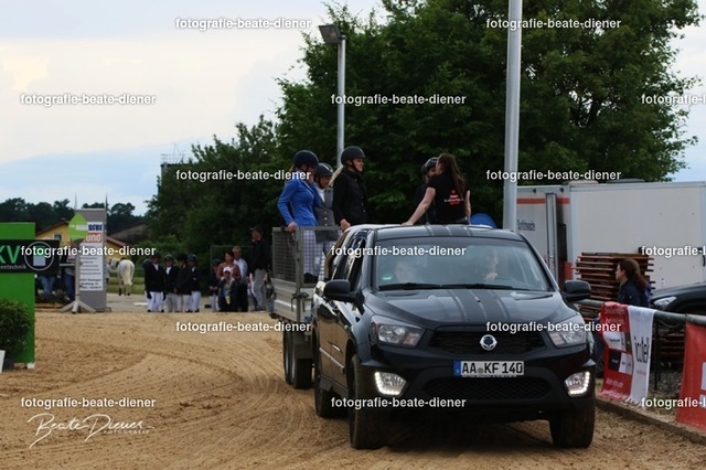 OHT0801 | Fotografie, Tiere, Hunde, Katzen, Pferde, Sportfotografie, Fotosession, Tierfotografie, Turnierfotografie, Fotografin, Fotograf - Realisiert mit Pictrs.com