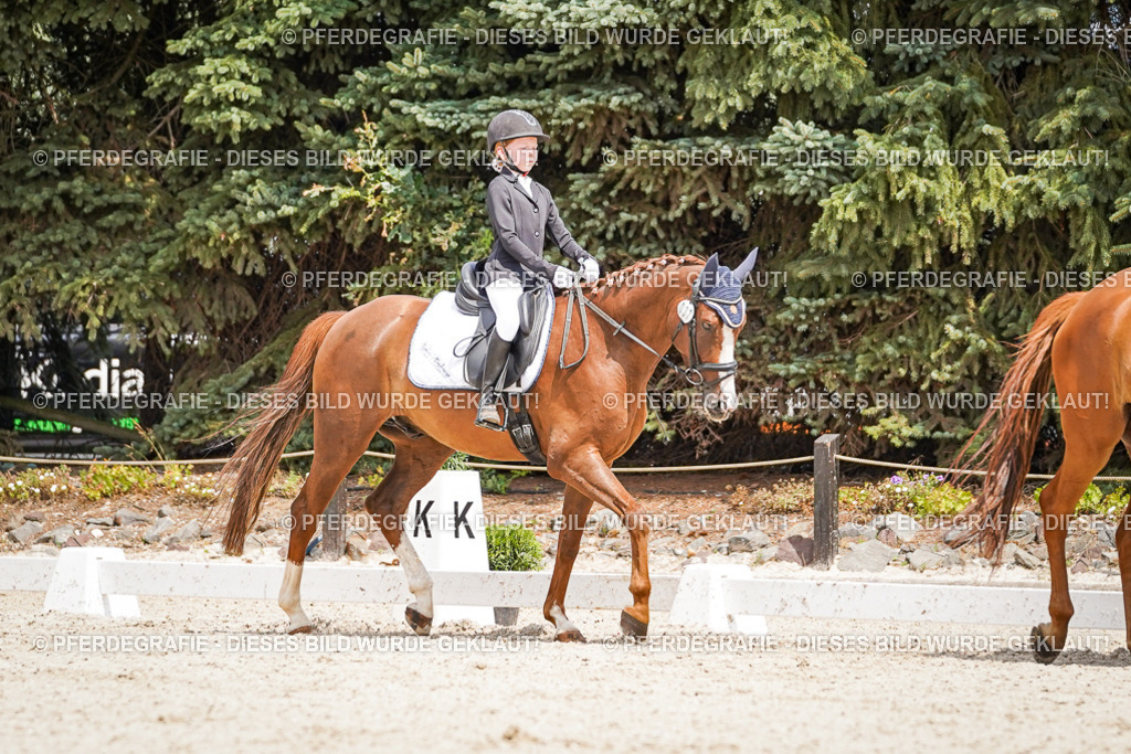 DSC03322 | Pferdegrafie