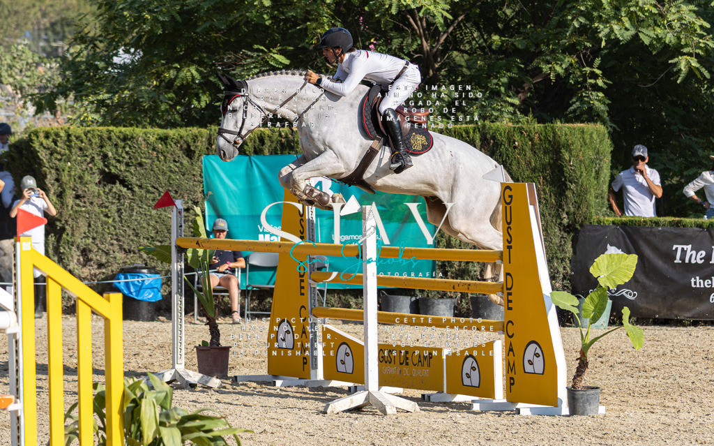 IMG_9528 | s-jay-photography - Realisiert mit Pictrs.com