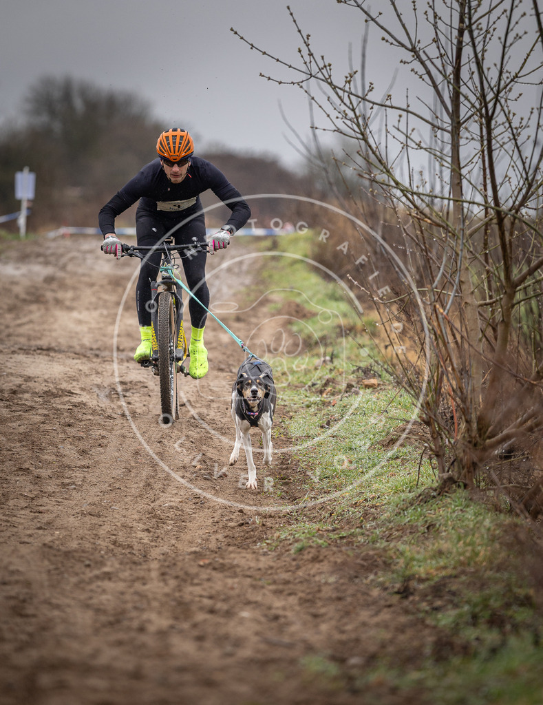 DV3A8857 | Hundefotografie, Tierfotograf, Pfotenfotografie, Fotoshooting Hund, Hunde Portrait, Hundesport, Hundeportraits, Heideshooting, Hunde, Sportfotograf, Hundefotograf, Turnierhundsport, THS,  - Realisiert mit Pictrs.com