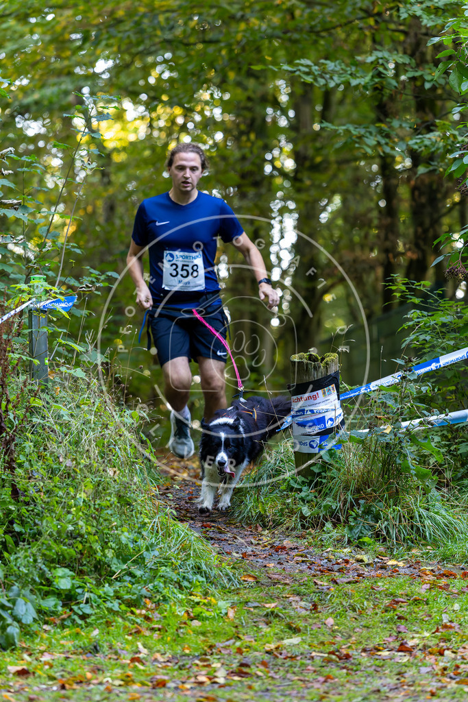 Pfotenfotografie_DV3A7579 | Hundefotografie, Tierfotograf, Pfotenfotografie, Fotoshooting Hund, Hunde Portrait, Hundesport, Hundeportraits, Heideshooting, Hunde, Sportfotograf, Hundefotograf, Turnierhundsport, THS,  - Realisiert mit Pictrs.com