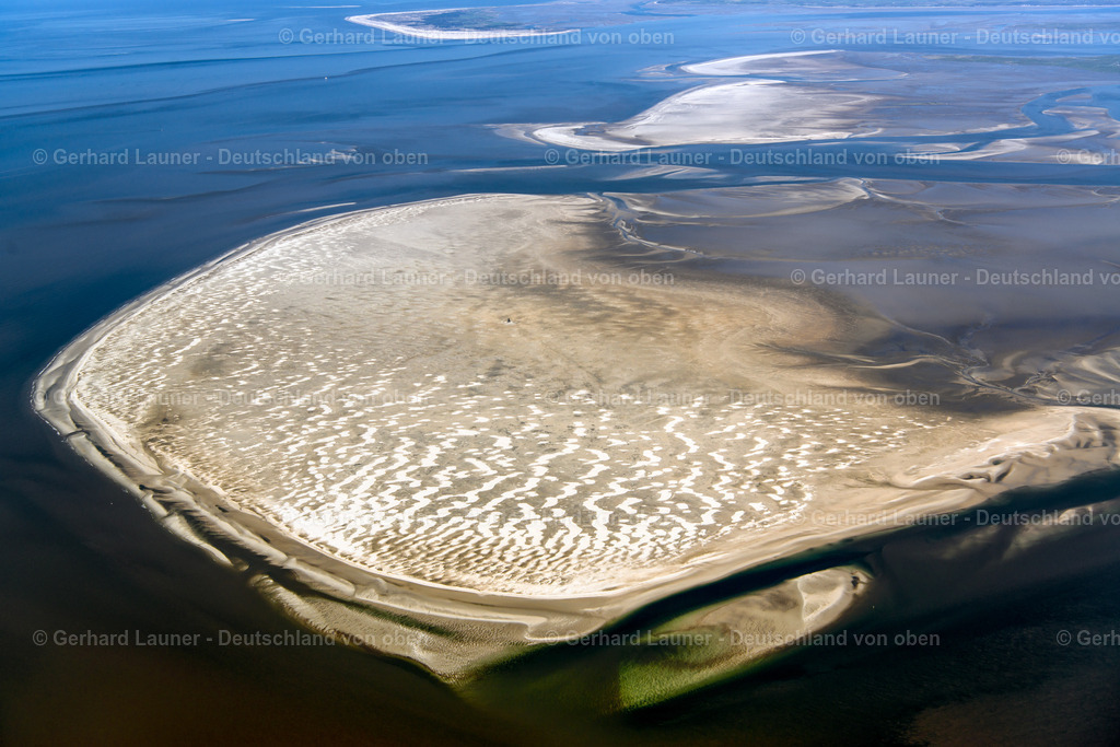 3801563 | Süderoogsand, Nationalpark Schleswig-Holsteinisches Wattenmeer