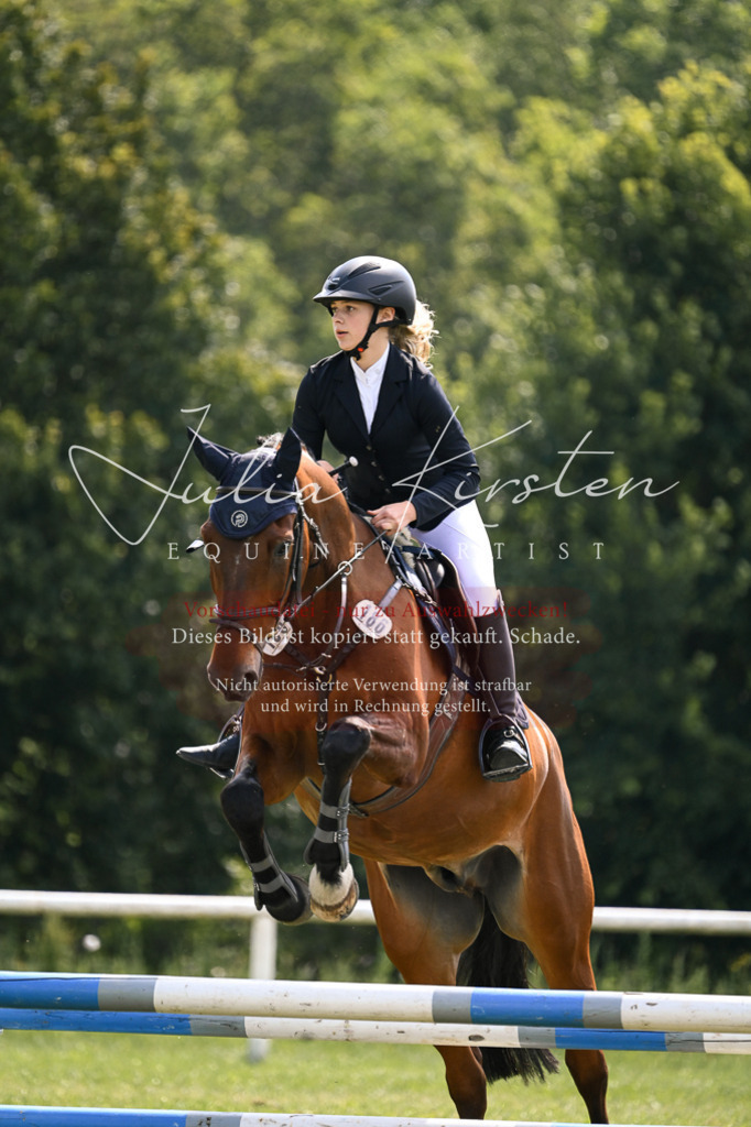 DSC_9025 | Pferde- und Turnierfotografie in Westsachsen. Pferdeportraits, Auftragszeichnungen und intuitive Kunst.