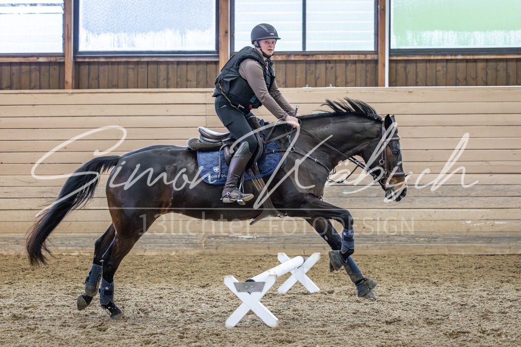 20260222-_3LI1491 | Tierfotografie Pferde, Hunde, Katzen, Haustiere.
Turnierfotografie Reitturniere, Reiten, Springreiten, Dressur in Hanau, dem Main-Kinzig-Kreis und dem Rhein-Main- Gebiet um Frankfurt