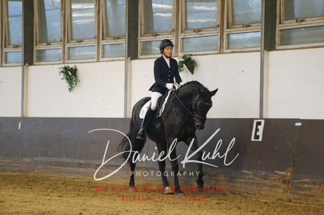 IMG_7474 | Turniersportfotografie; Pferdefotografie; Dressurfotografie