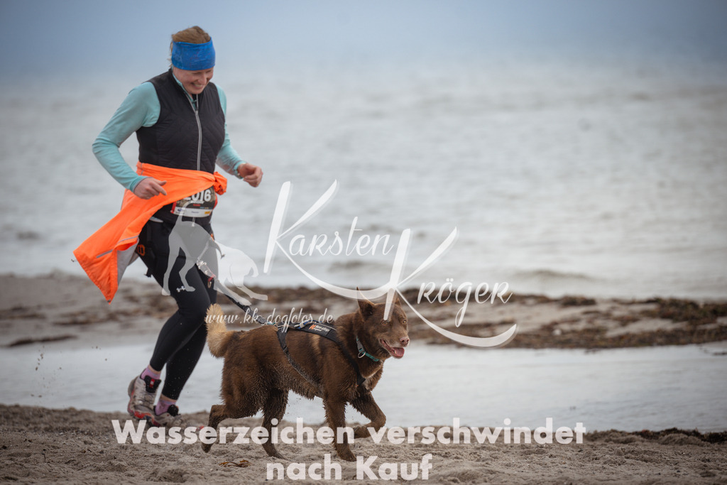 1149_ZZ91747 | kk-dogfotos