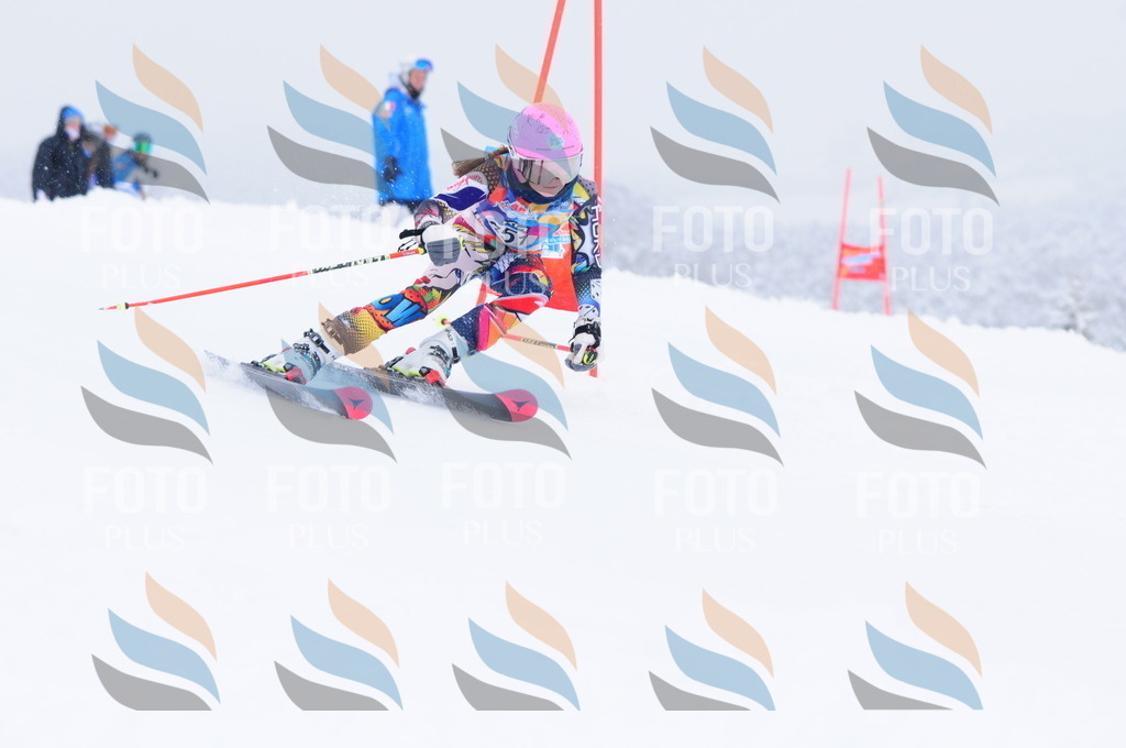 C3753 | holidayphoto