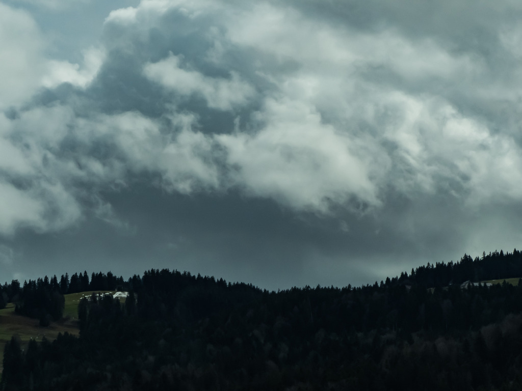 PSX_20230401_233536 | mtkfoto_ - Realisiert mit Pictrs.com