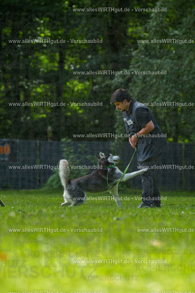 @allesWIRTHgut_Tierfotografie - www.allesWIRTHgut.de - 7R500895 | Professionelle Tierfotografie in Mönchengladbach von Daniel Wirth (allesWIRTHgut). Liebevolle & natürliche Bilder von Hunden & Katzen für unvergessliche Erinnerungen.