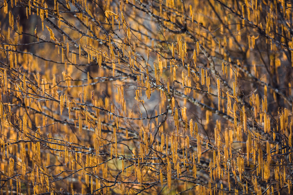 IU2A1394 | ap-design // andreas plenk - Realisiert mit Pictrs.com