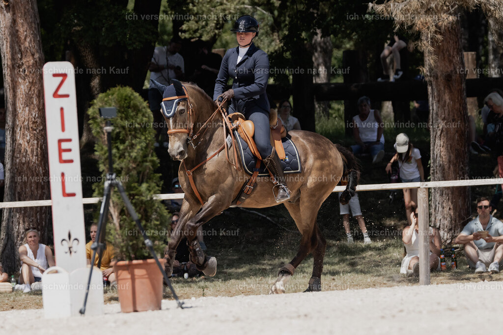 WE_SP_Stoib_329_PI2025_2006 | Pferd International München 2025